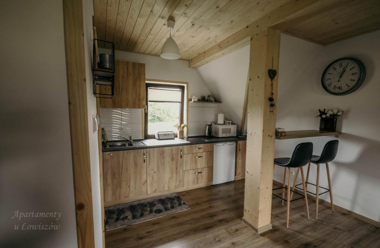 Apartament U Lowiszow Witów Esterno foto