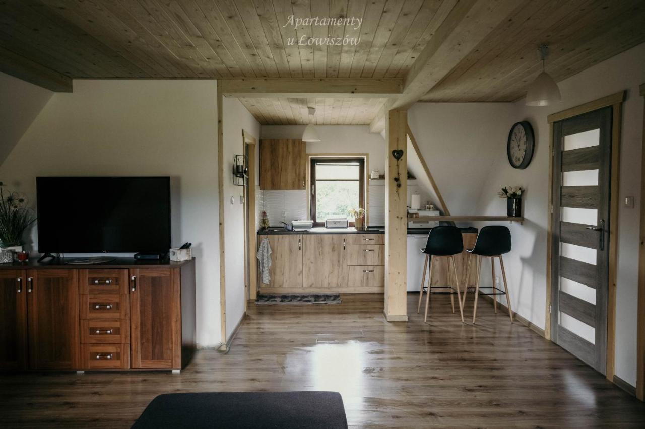 Apartament U Lowiszow Witów Esterno foto